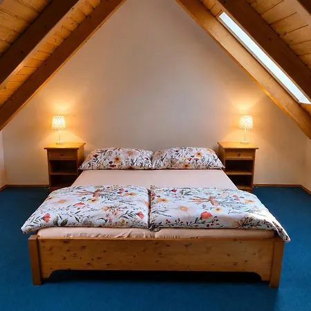 Vital 3* Liberec